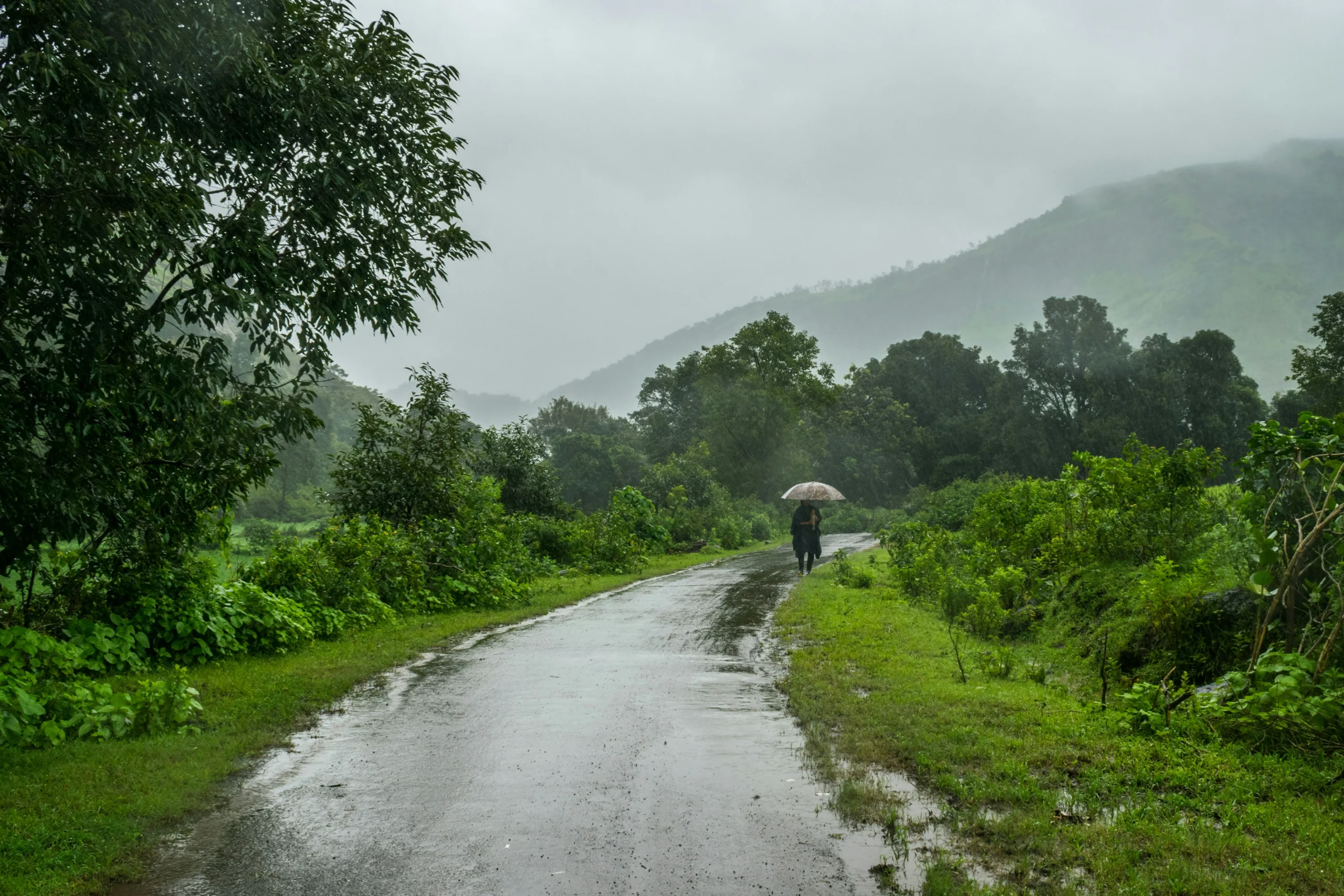 IMD predicts above normal railfall this monsoon